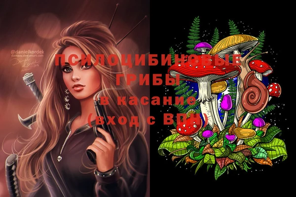 PSILOCYBIN Алексин