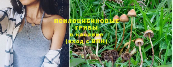 mdpv Абдулино