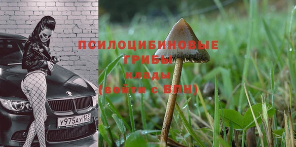 mdpv Абдулино